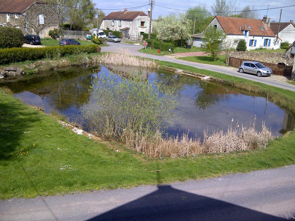 Gite Du Grand Morin Villeneuve-la-Lionne Eksteriør bilde
